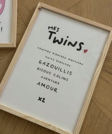 Affiche "Mes Twins"