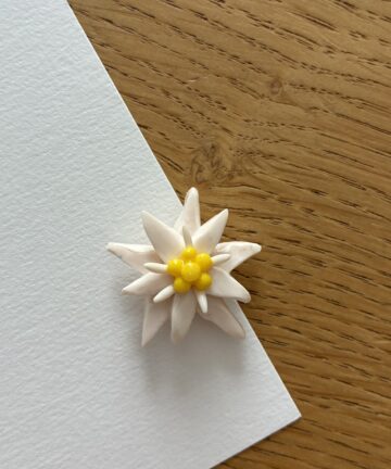 Aimant "Edelweiss"